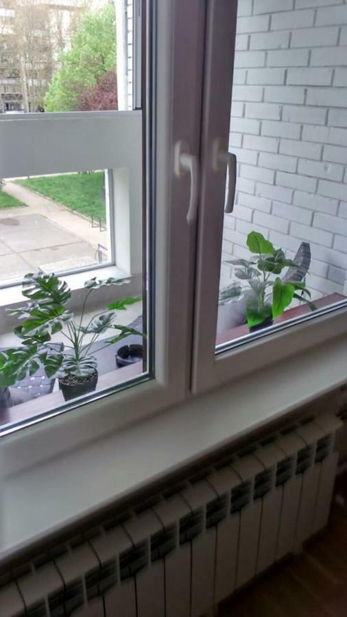 Apartman Oslo 贝尔格莱德 外观 照片