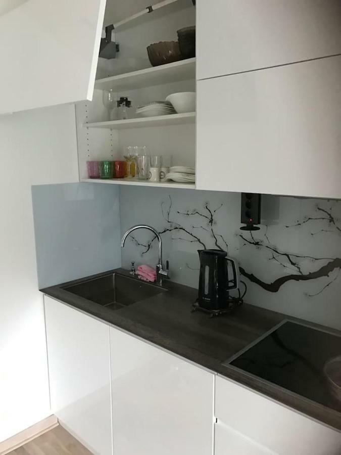 Apartman Oslo 贝尔格莱德 外观 照片